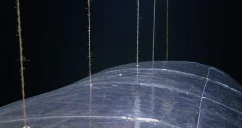 Artistic installation of thin wires, resembling strings or threads, against dark background