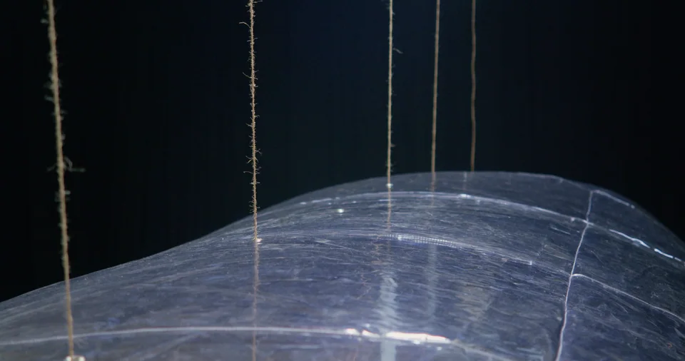 Artistic installation of thin wires, resembling strings or threads, against dark background