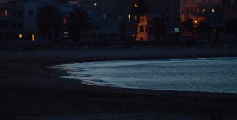 Beach scene at night.